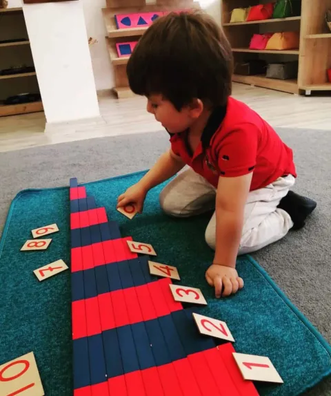 Montessori Eğitimi